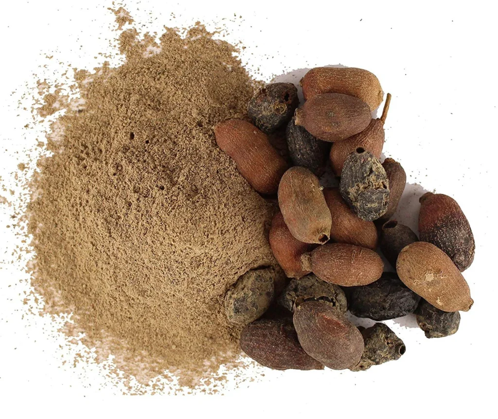 Organic Homemade Jamun Seeds powder