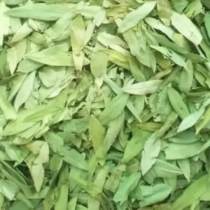 Senna Leaves Dried/Nilavarai/Sanay/Sonamukhi Patta/Sanay Patti/Sonamukhi Leaves - Image 2