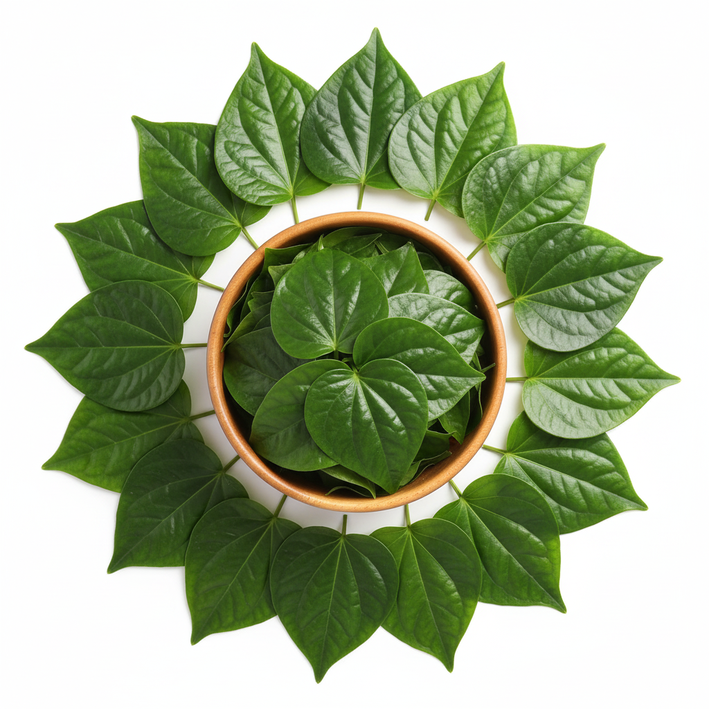 Fresh Betel / Paan leaves – organic herbal leaves India