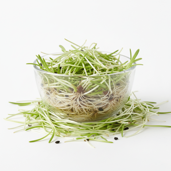 Onion Microgreen Seeds
