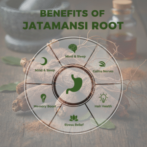 Whole Dried Jatamansi root/Musk root/spikenard for hair treatment - Image 2