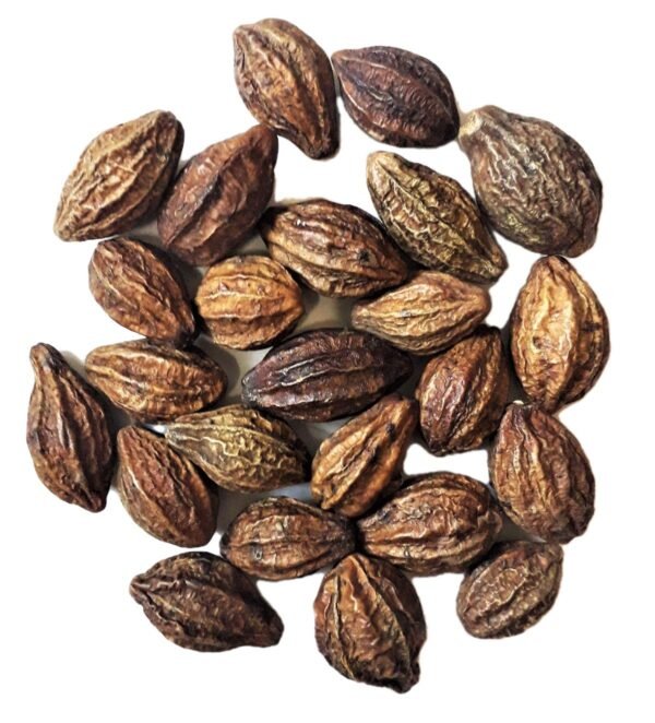 Whole Dried Harad/Haritaki/Terminalia Chebula/Kadukkai Podi/Karakkaya Pudiyamu