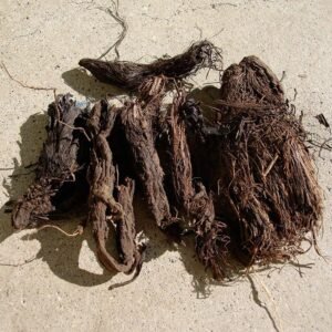 Whole Dried Jatamansi root/Musk root/spikenard for hair treatment - Image 3