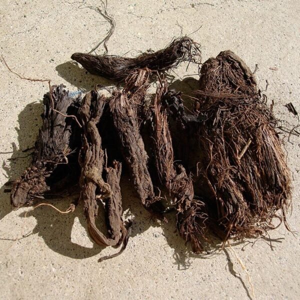 Whole Dried Jatamansi root/Musk root/spikenard for hair treatment