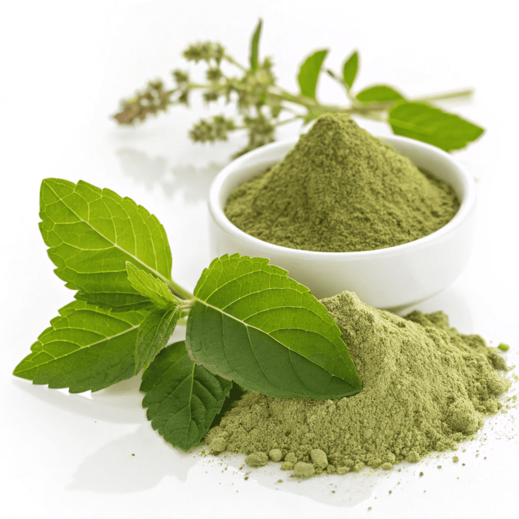 Fresh Tulsi/Holy Basil leaves Powder - Image 2