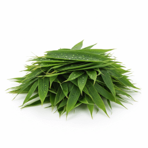 Fresh green bamboo leaves – organic herbal use India