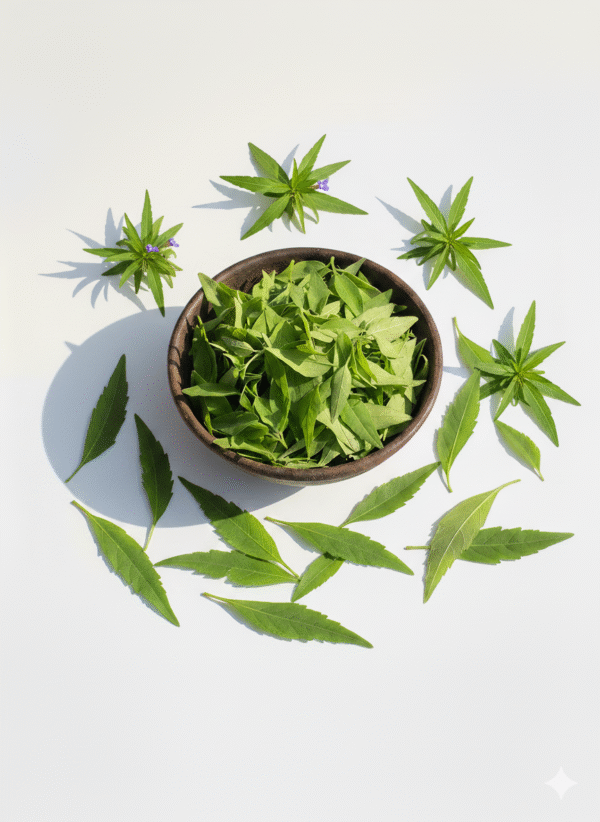 Green Kulekhara leaves – live Ayurvedic herbal plant India