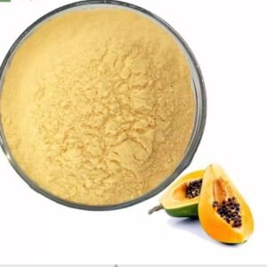 Fresh Organic Papaya powder - Image 2
