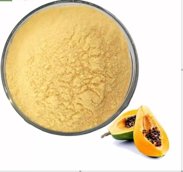 Fresh Organic Papaya powder