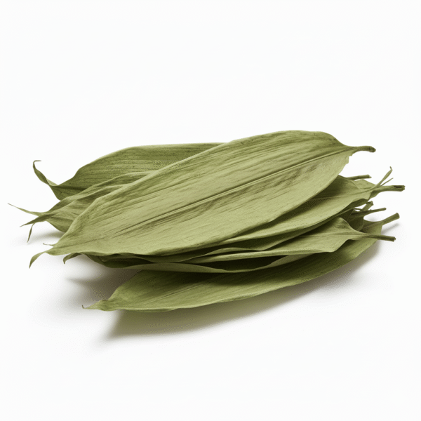 Dried Bamboo Tree Fresh Leaves