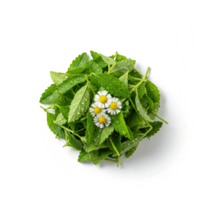 Green Bhangra/Kesuri/Bhringaraj Cut Fresh Leaves - Image 2
