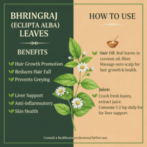 Green Bhangra/Kesuri/Bhringaraj Cut Fresh Leaves - Image 6