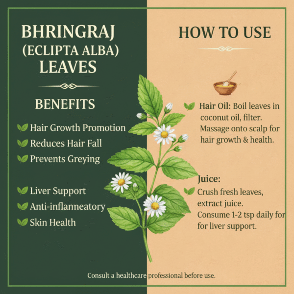 Green Bhangra/Kesuri/Bhringaraj Cut Fresh Leaves
