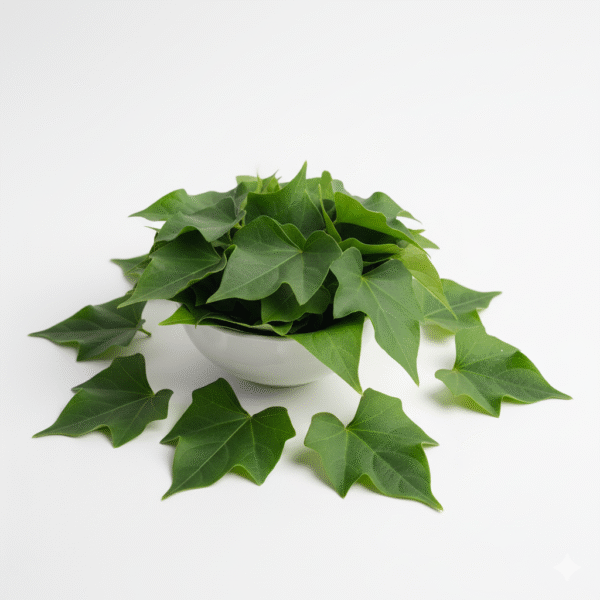 Fresh Green Ivy Guard/Kunduri/kundru/Tondli Herbal Leaves