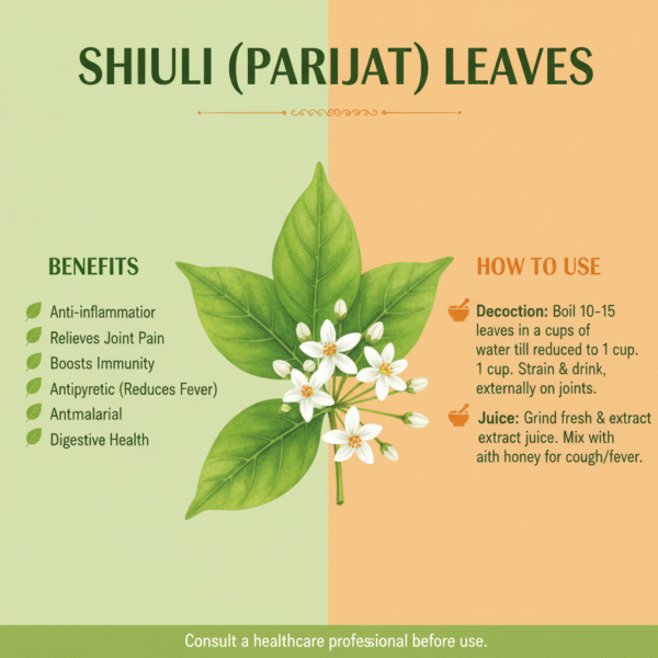 Fresh Whole Cut Green Shiuli/Parijat plant Leaves