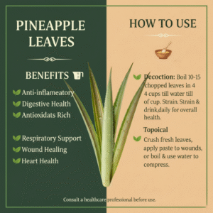 Fresh Green Cut Soft Pineaple Leaves - Image 2