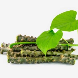 Giloy/Amridda Valli/Amruthu/Gulvel Herbal Live Plant - Image 2
