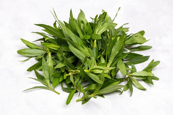 Fresh Green Cut Water spinach/Helencha Leaves