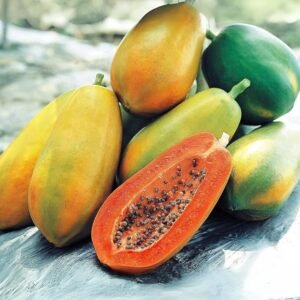 Taiwan Variety Red Lady Hybrid Original Papaya Fruit Plant - Image 2