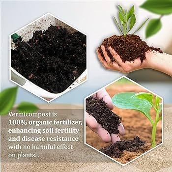Organic Vermicompost Fertilizer Manure For Plants - Image 2