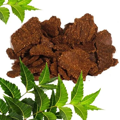 Neem Cake Powder Fertilizer For Plants - Image 2