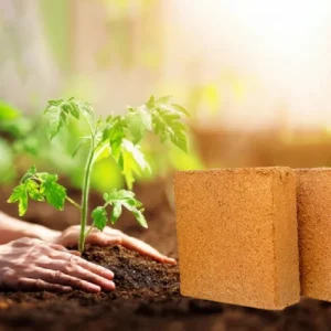 Organic Cocopeat Block For Plants - Image 3