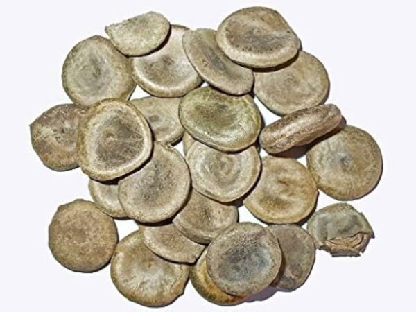Organic Kuchla/Kupilu/Mushini/Kanjiram Whole Dried Seeds