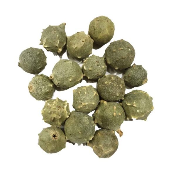 Organic Maju Phal/Machakaai/Maayaphal/Machikaai Whole Dried
