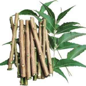 Natural Fresh Neem Chewing Sticks For Oral&Gum - Image 2