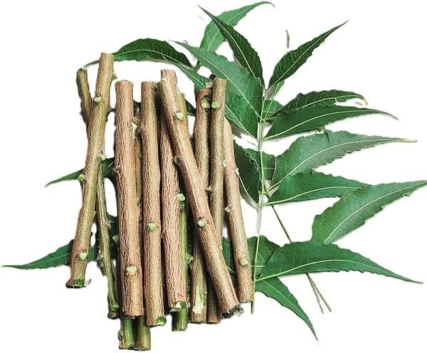 Natural Fresh Neem Chewing Sticks For Oral&Gum