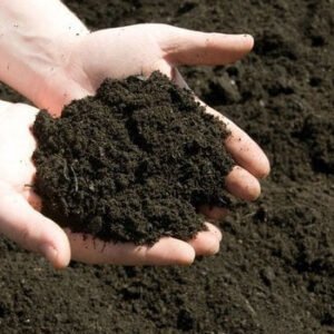Organic Vermicompost Fertilizer Manure For Plants - Image 3