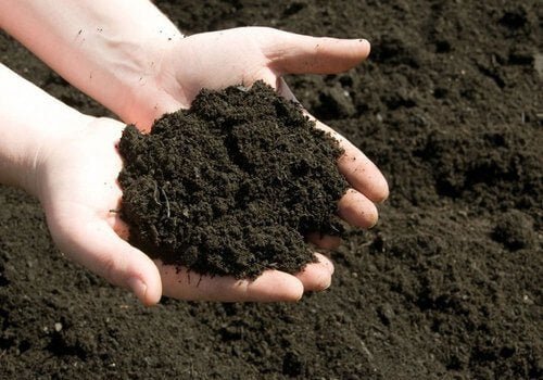 Organic Vermicompost Fertilizer Manure For Plants - Image 3