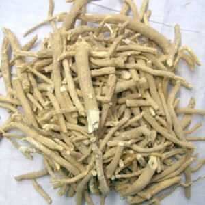 Ashwagandha Whole Dried Root Sticks - Image 2