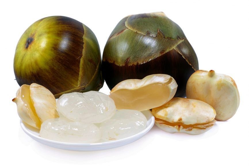 Whole Medium Taad/Ice apple/Tadgola/Palmyra/Nungu Fresh Fruit(2-4Jelly Pods) - Image 1