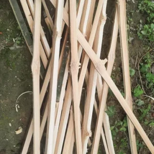 Bamboo Sticks For Plant Support - Image 2
