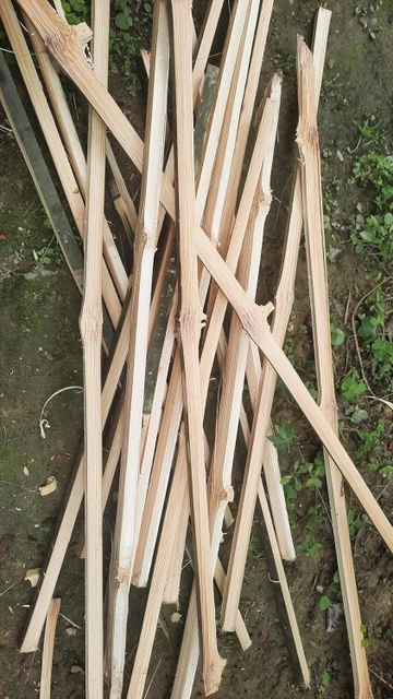 Bamboo Sticks For Plant Support