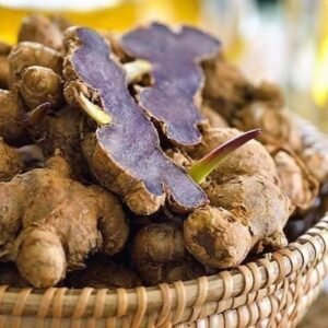 Rare Thai Black Ginger/Black Galangal Herbal Healthy Plant - Image 2