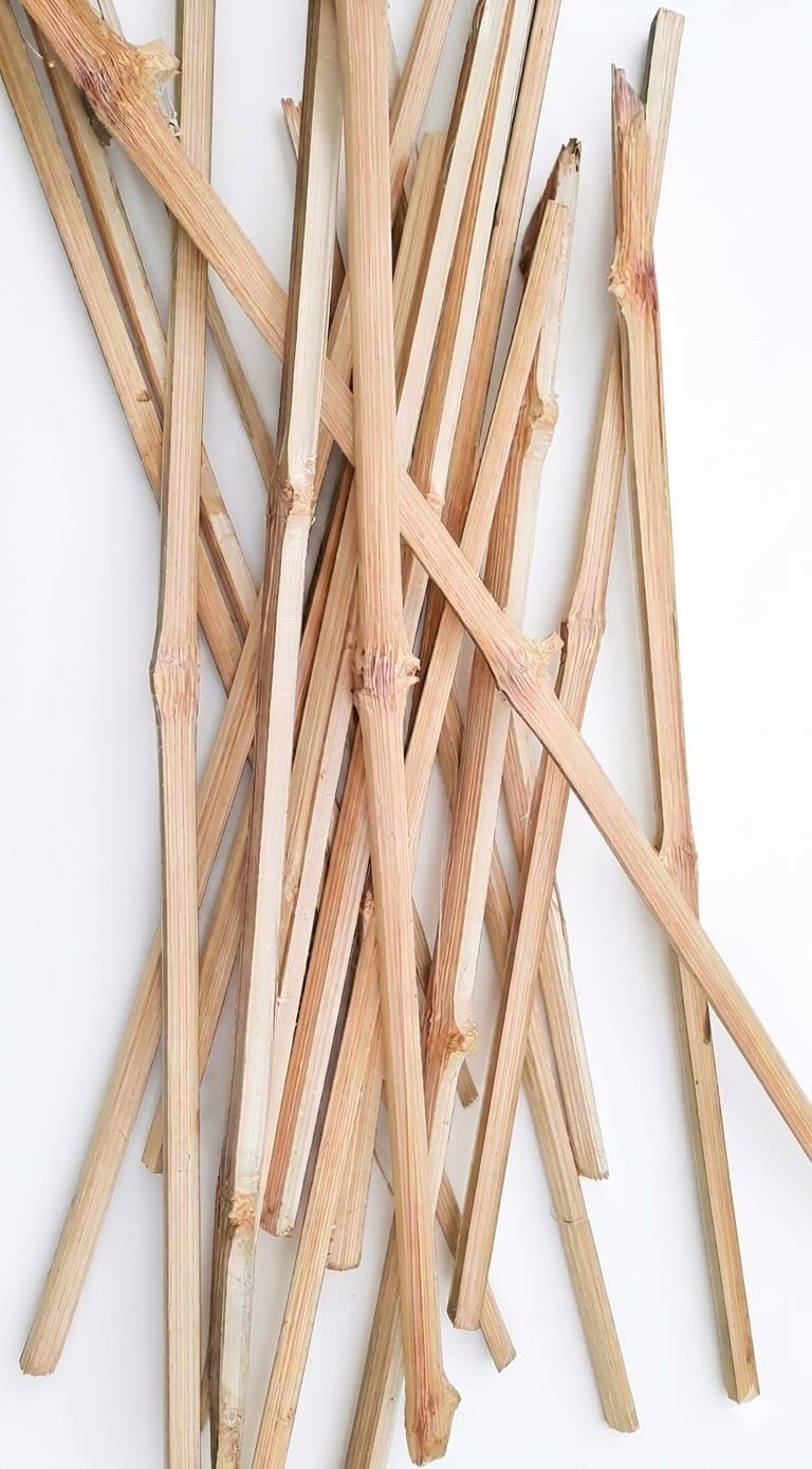 Bamboo Sticks For Plant Support - Image 1
