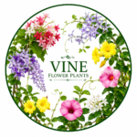Vine Flower Plants