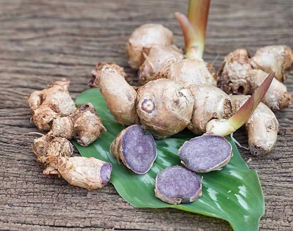 Rare Black Ginger Fresh Bulbs - Image 3