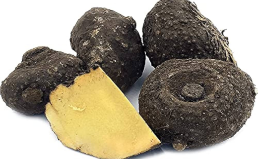 Elephant Foot yam Healthy Corm