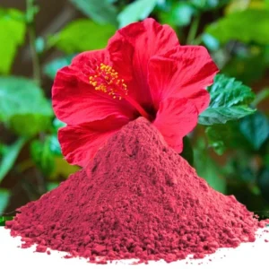 Organic Hibiscus Flowers Powder - Image 2