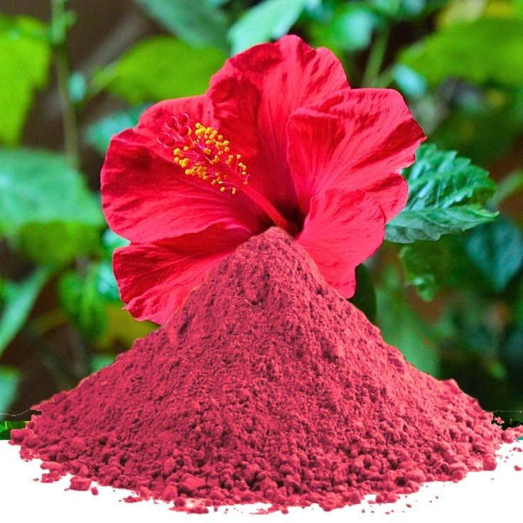 Organic Hibiscus Flowers Powder