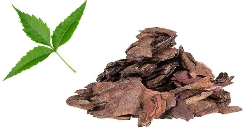 Organic Neem Chal/Veppam Pattai/Nimbaka/Margosa Bark Powder