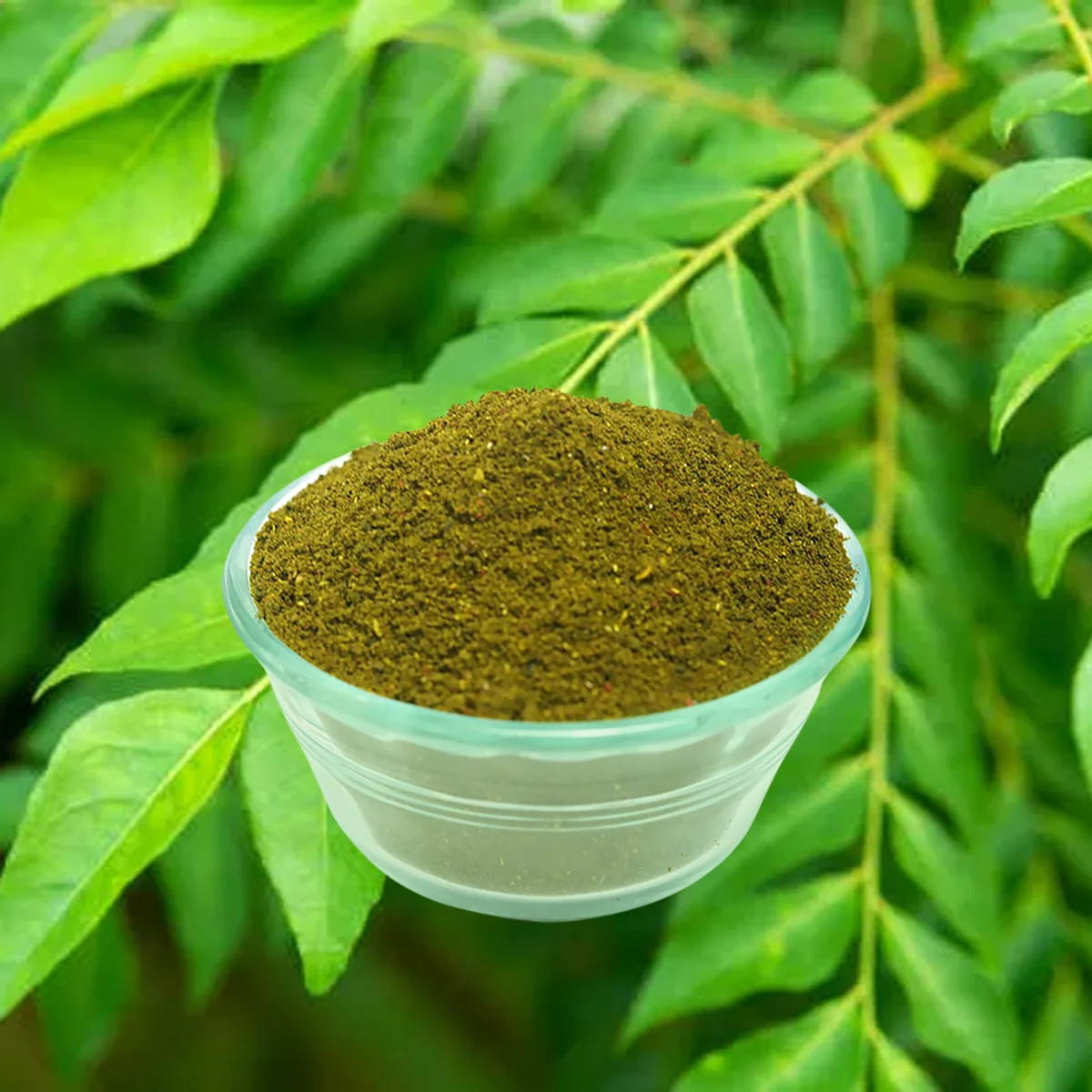 Kadi Patta/Curry Leaves Organic Powder - Image 2
