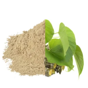 Giloy/Giloi Bel/Guduchi Organic Dried Powder - Image 3